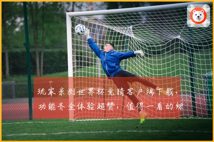 玩家亲测世界杯竞猜客户端下载，功能齐全体验超赞，值得一看的综合评测