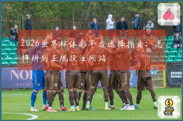 2026世界杯体彩平台选择指南：怎样辨别正规投注网站