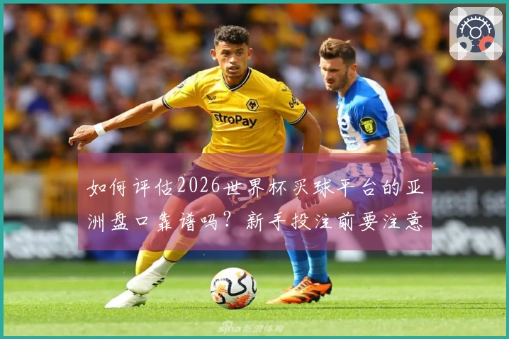如何评估2026世界杯买球平台的亚洲盘口靠谱吗?新手投注前要注意哪些重点?