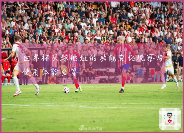 世界杯买球地址的功能变化观察与使用体验分享
