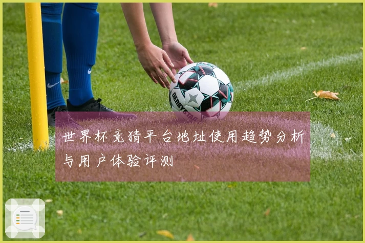 世界杯竞猜平台地址使用趋势分析与用户体验评测