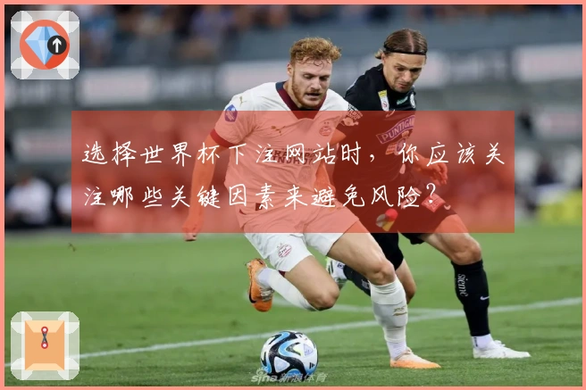 选择世界杯下注网站时,你应该关注哪些关键因素来避免风险?