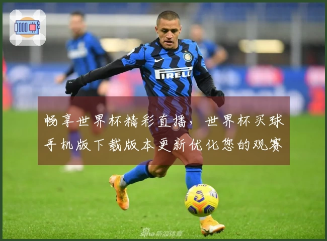 畅享世界杯精彩直播，世界杯买球手机版下载版本更新优化您的观赛体验